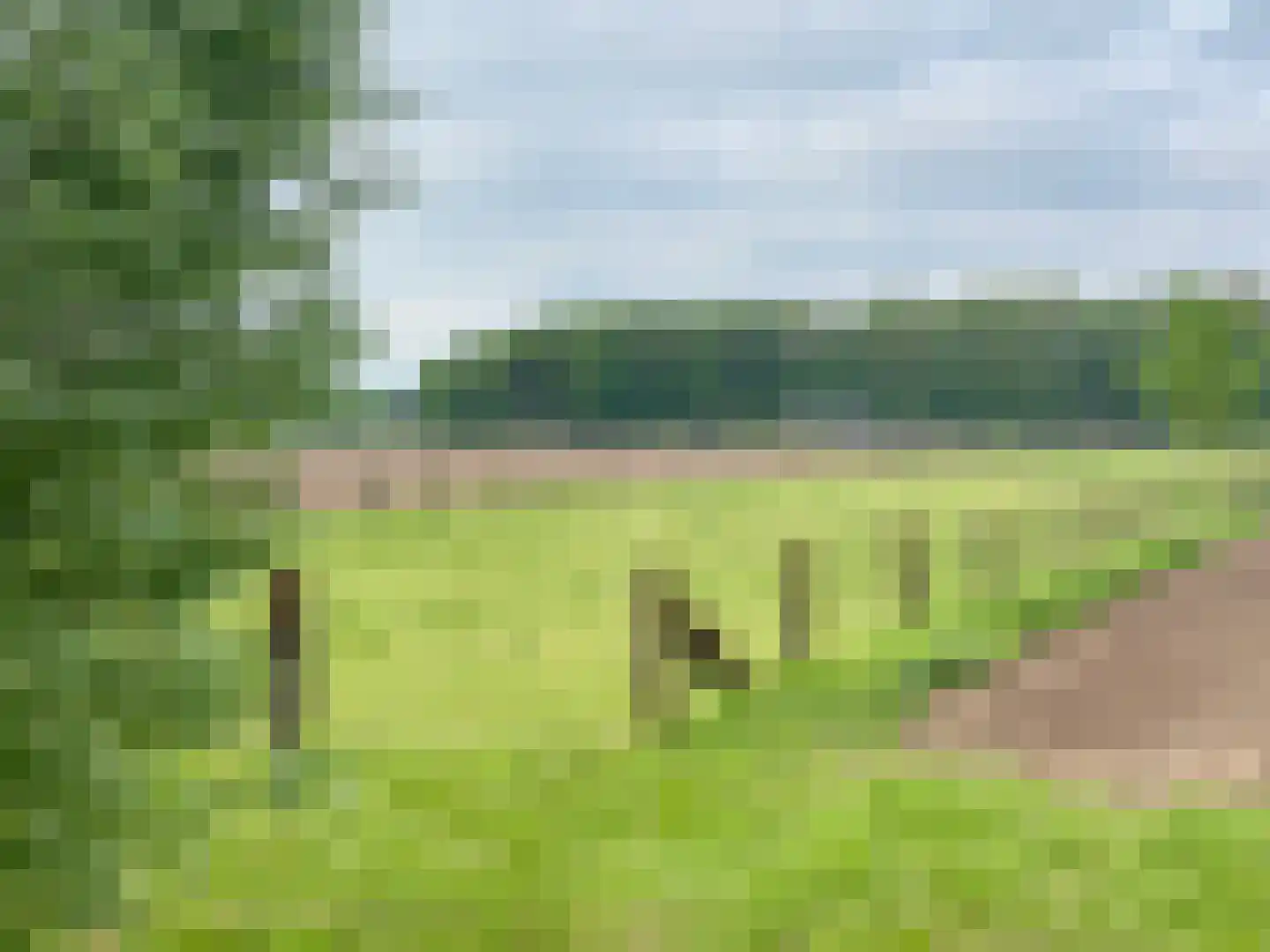 Gochsedijk 13 Siebengewald thumbnail 4