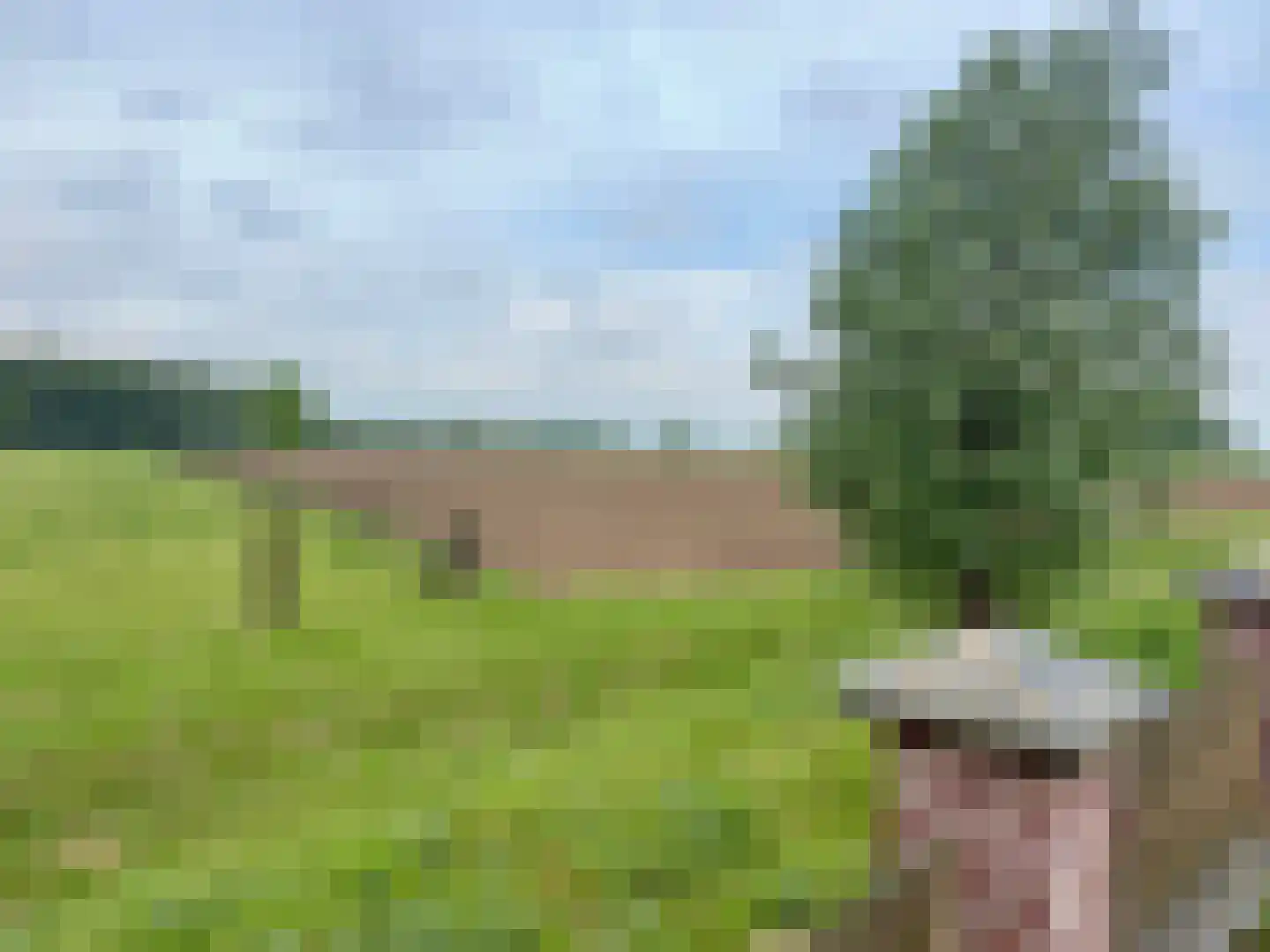 Gochsedijk 13 Siebengewald thumbnail 48