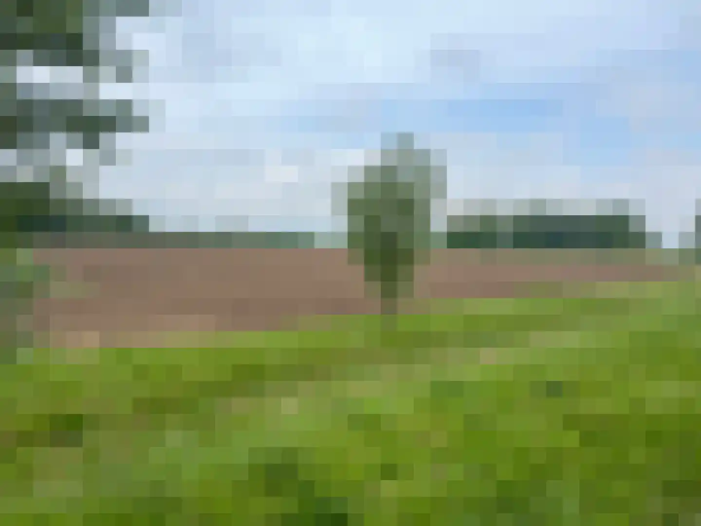 Gochsedijk 13 Siebengewald thumbnail 49