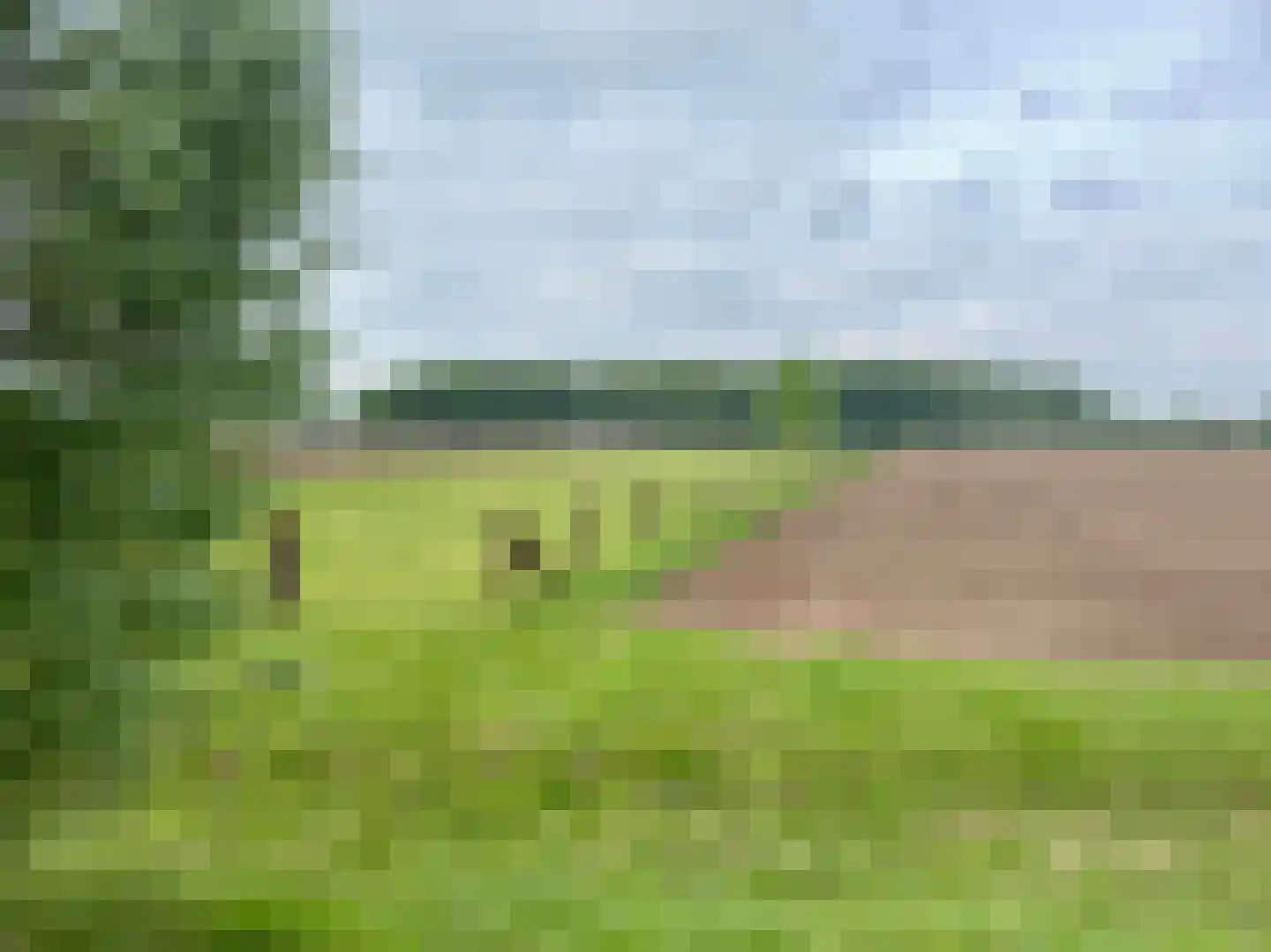 Gochsedijk 13 Siebengewald thumbnail 50