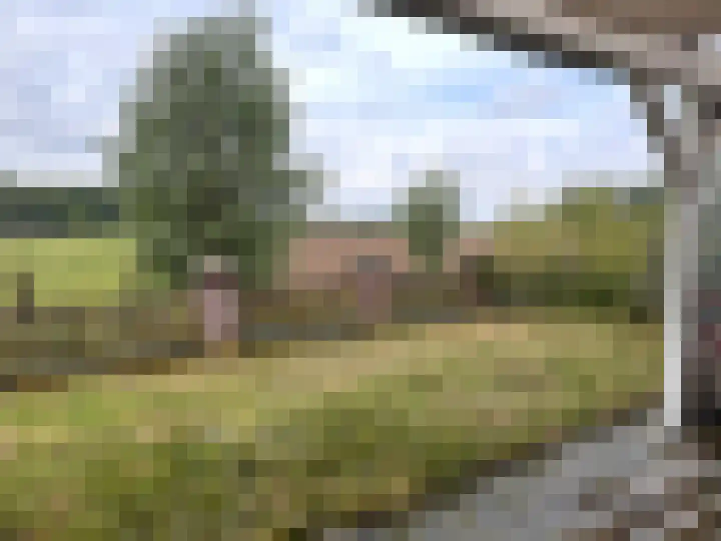 Gochsedijk 13 Siebengewald thumbnail 54