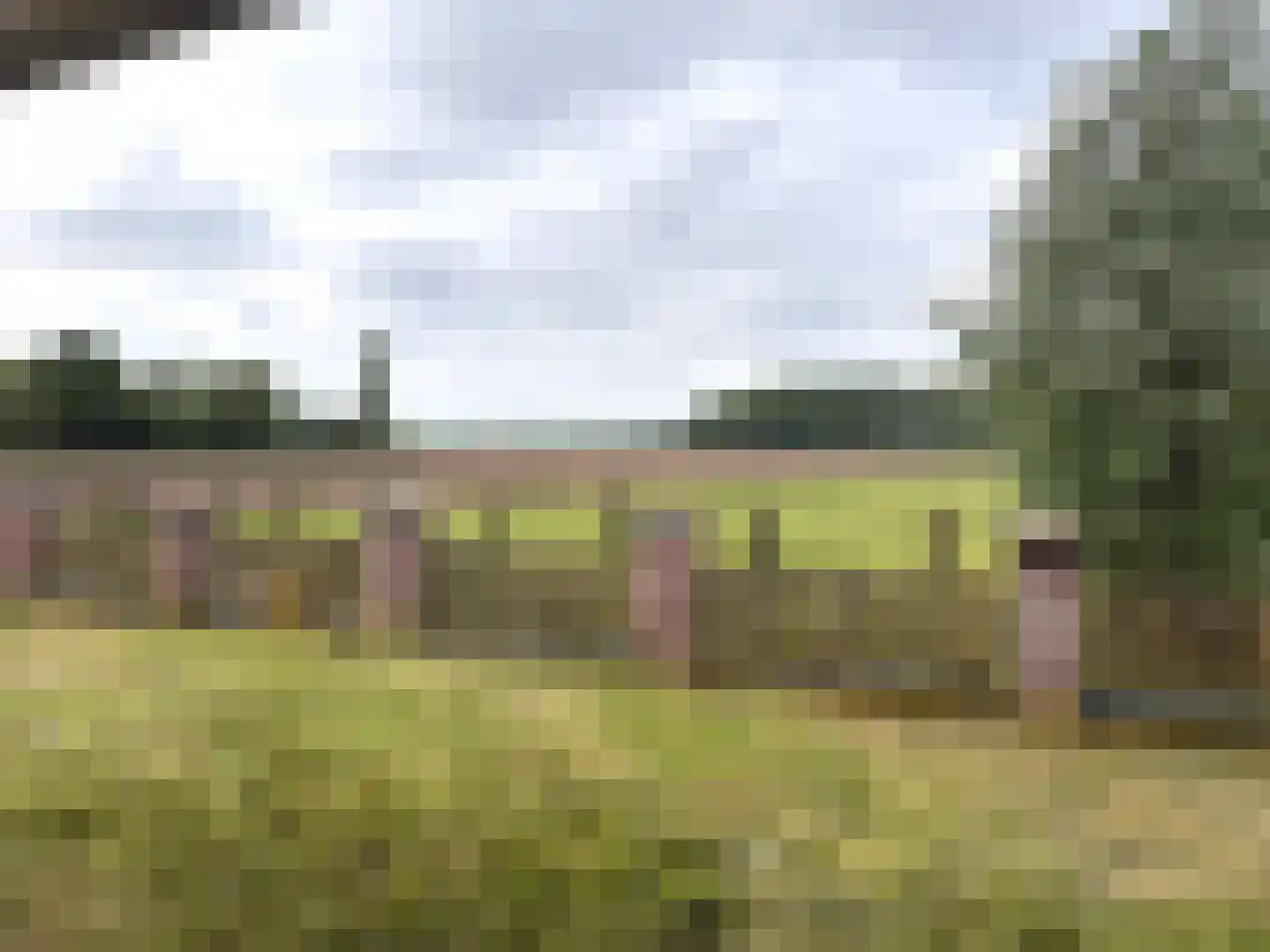 Gochsedijk 13 Siebengewald thumbnail 55