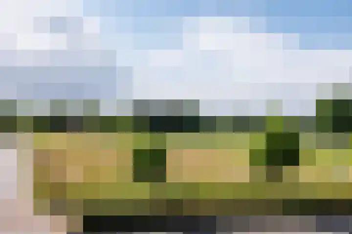 Gochsedijk 17 Siebengewald thumbnail 25