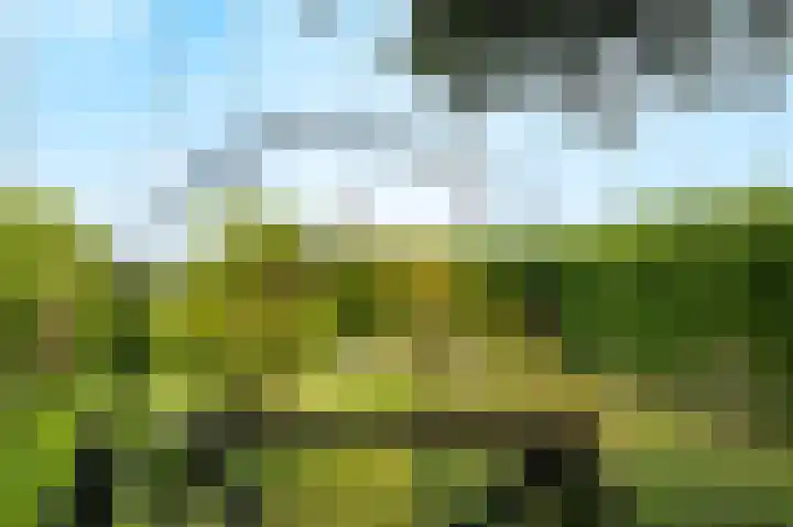 Gochsedijk 17 Siebengewald thumbnail 33