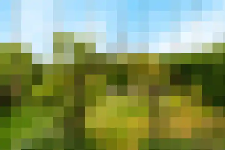 Gochsedijk 17 Siebengewald thumbnail 34