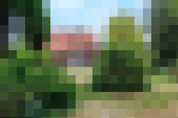 Gochsedijk 17 Siebengewald thumbnail 4