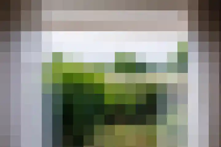 Gochsedijk 17 Siebengewald thumbnail 9