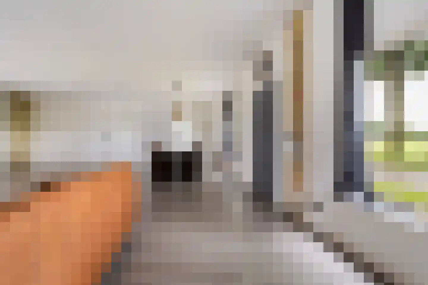 Gochsedijk 7 Siebengewald thumbnail 10