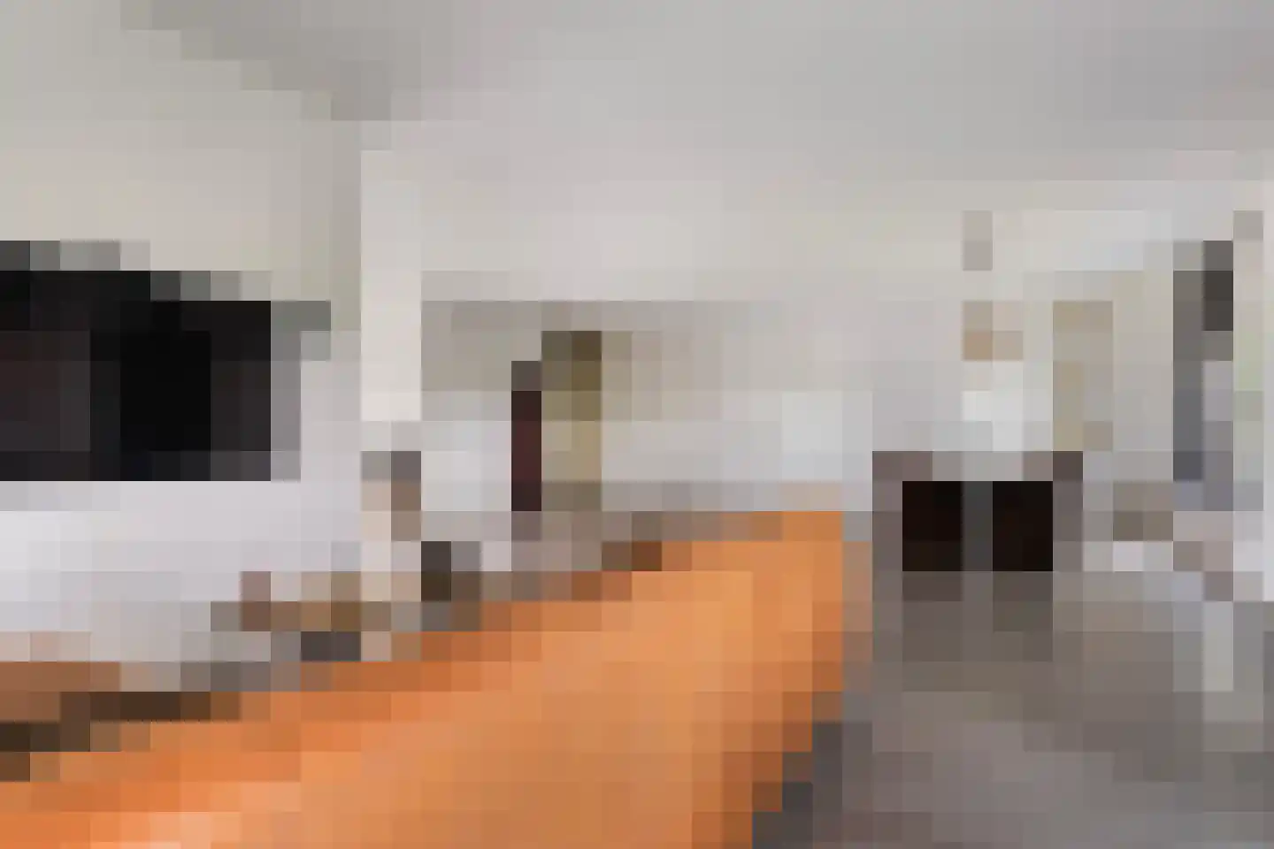 Gochsedijk 7 Siebengewald thumbnail 11