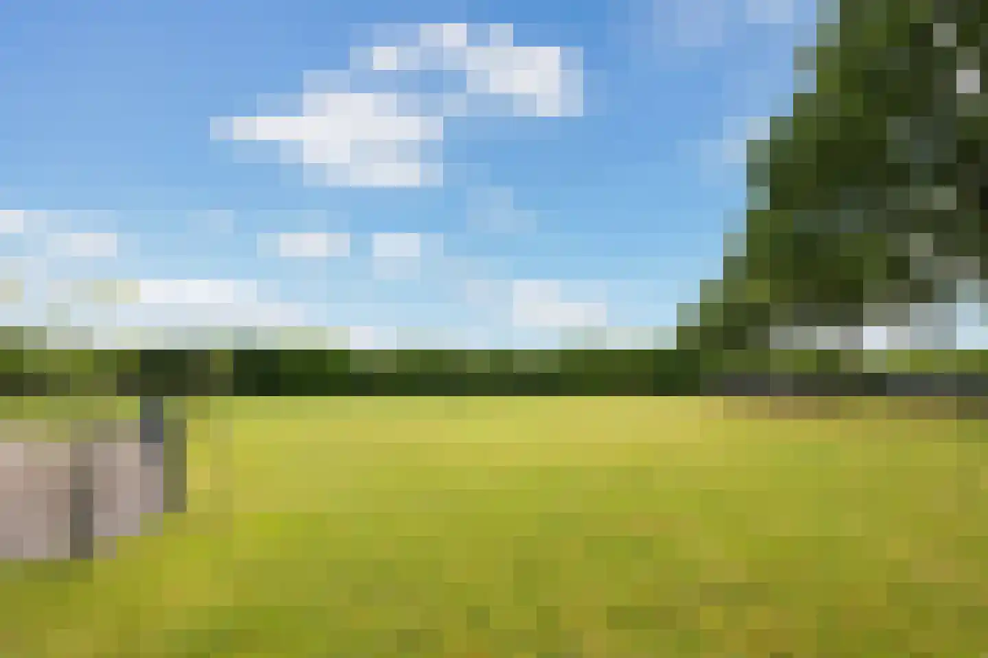 Gochsedijk 7 Siebengewald thumbnail 24