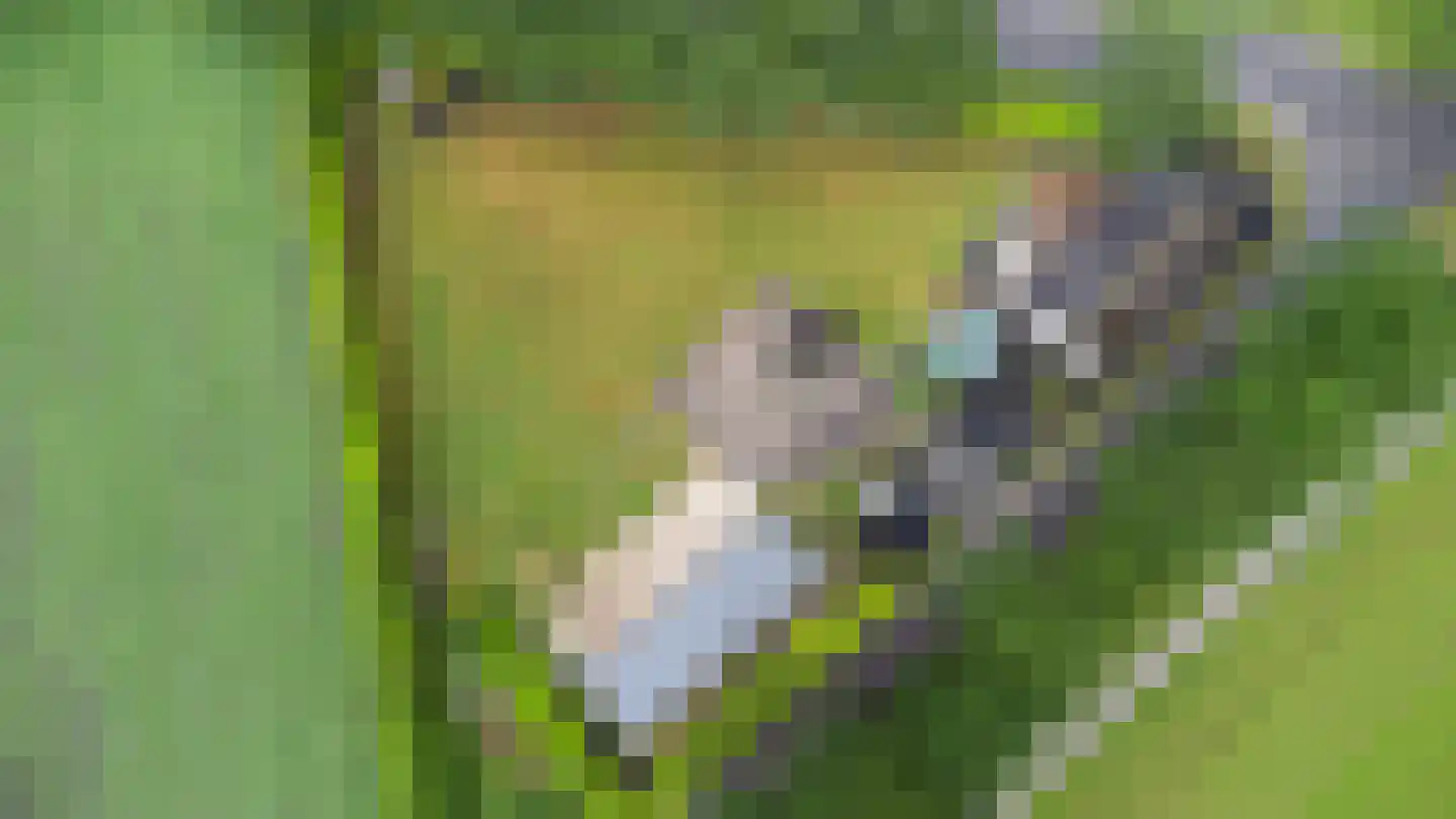Gochsedijk 7 Siebengewald thumbnail 25