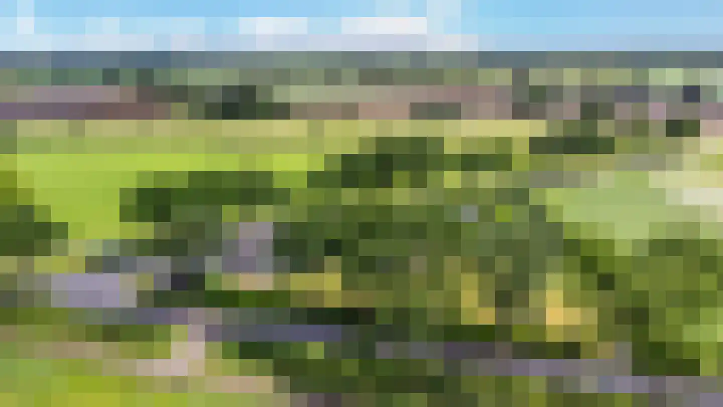 Gochsedijk 7 Siebengewald thumbnail 5