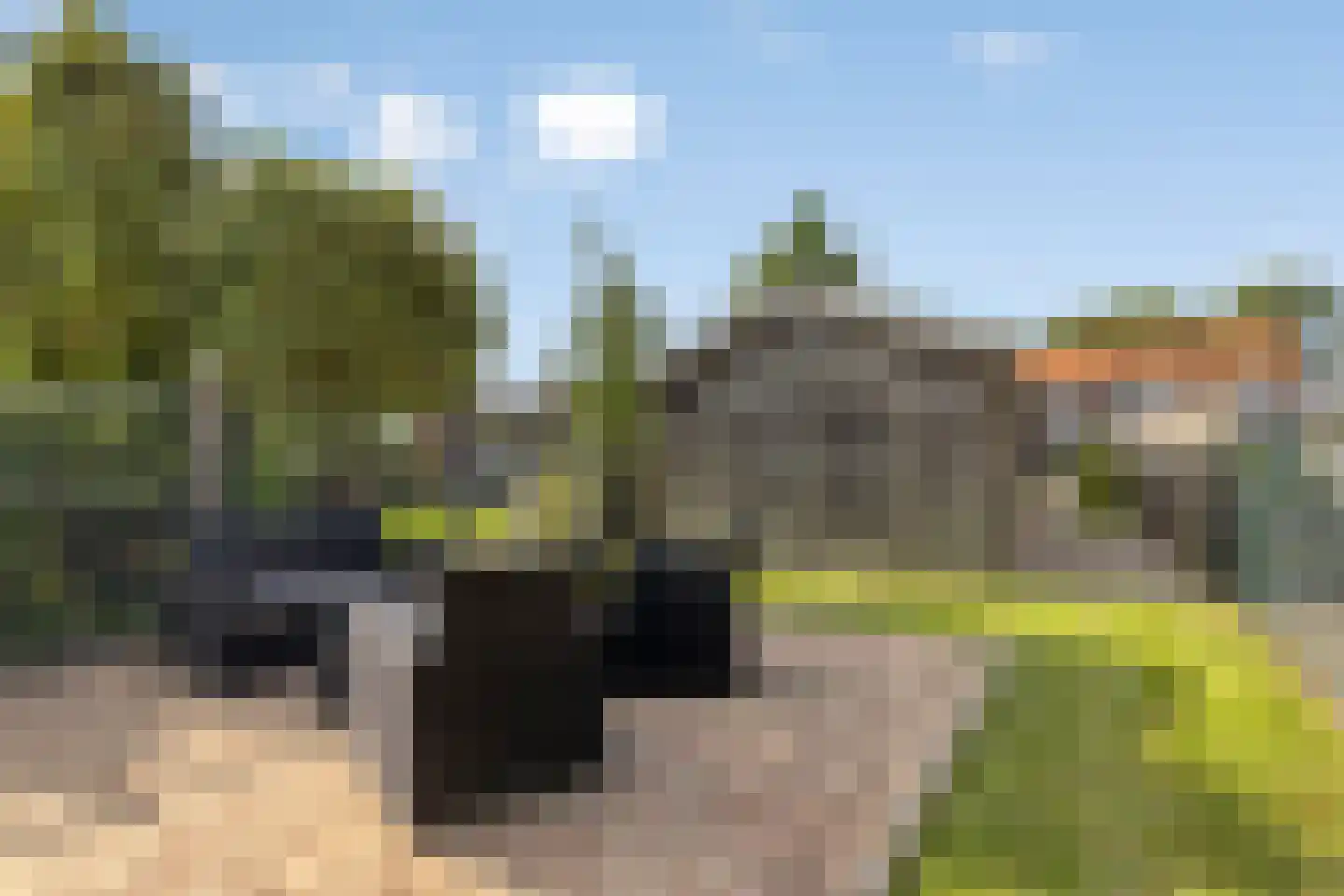 Gochsedijk 74 a Siebengewald thumbnail 39