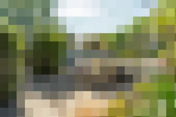 Gochsedijk 86 Siebengewald thumbnail 27