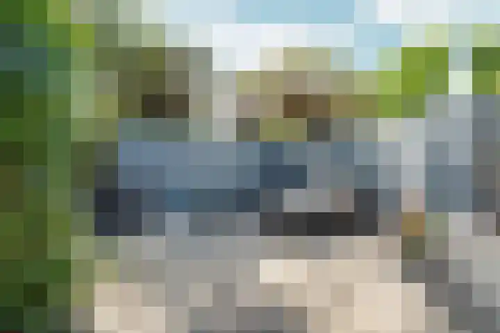 Gochsedijk 86 Siebengewald thumbnail 28