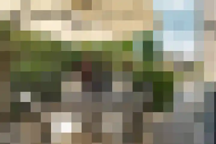 Gochsedijk 86 Siebengewald thumbnail 30