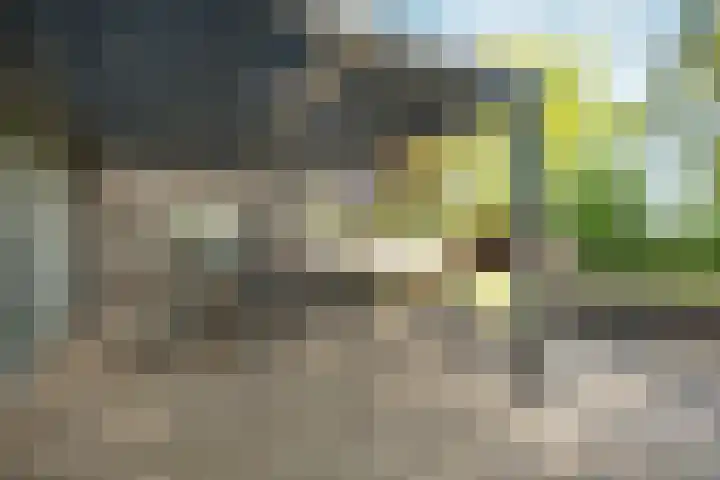 Gochsedijk 86 Siebengewald thumbnail 31