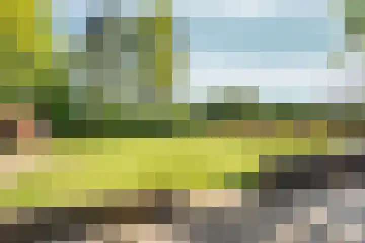 Gochsedijk 86 Siebengewald thumbnail 32