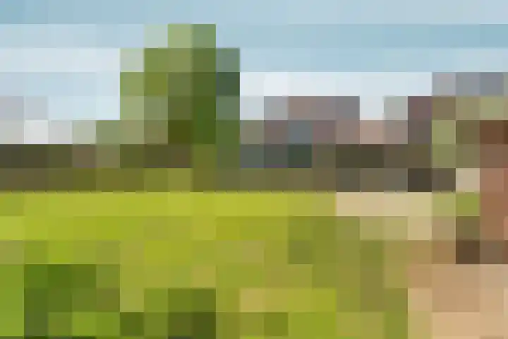 Gochsedijk 86 Siebengewald thumbnail 34