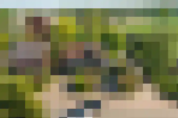 Gochsedijk 86 Siebengewald thumbnail 5