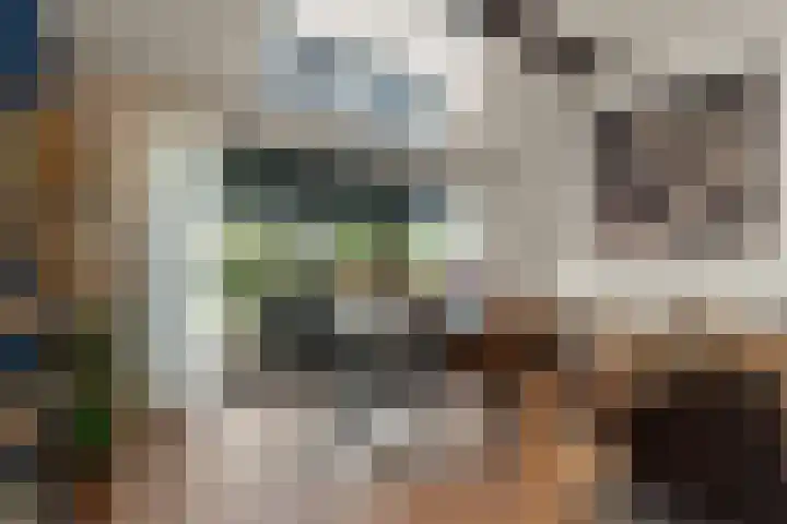 Gochsedijk 86 Siebengewald thumbnail 8