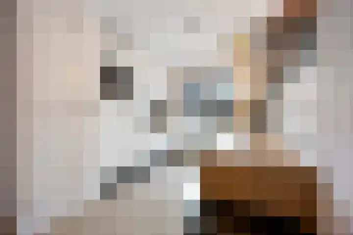 Gochsestraat 19 Huissen thumbnail 10