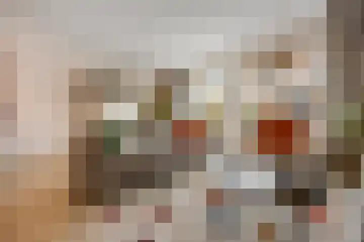 Gochsestraat 19 Huissen thumbnail 12