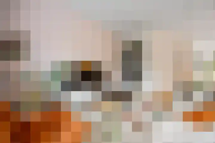 Gochsestraat 19 Huissen thumbnail 13