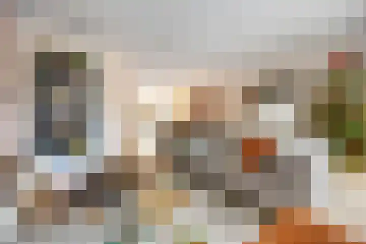 Gochsestraat 19 Huissen thumbnail 14