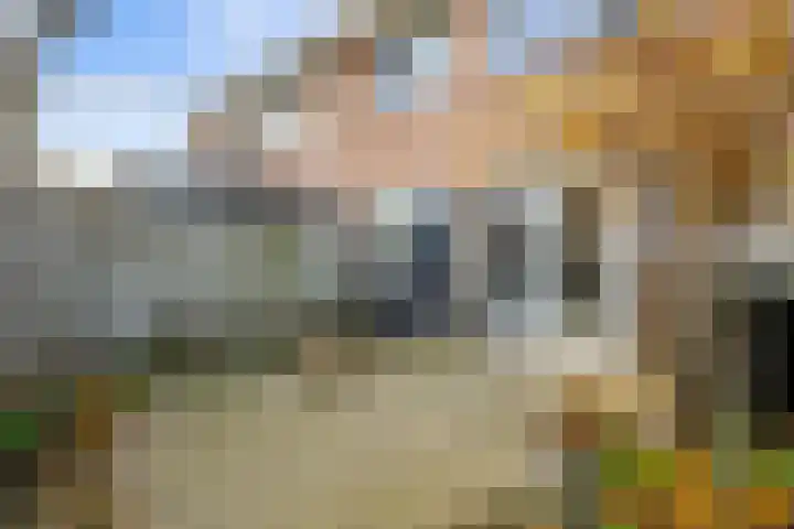 Gochsestraat 19 Huissen thumbnail 17
