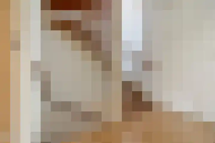 Gochsestraat 19 Huissen thumbnail 23