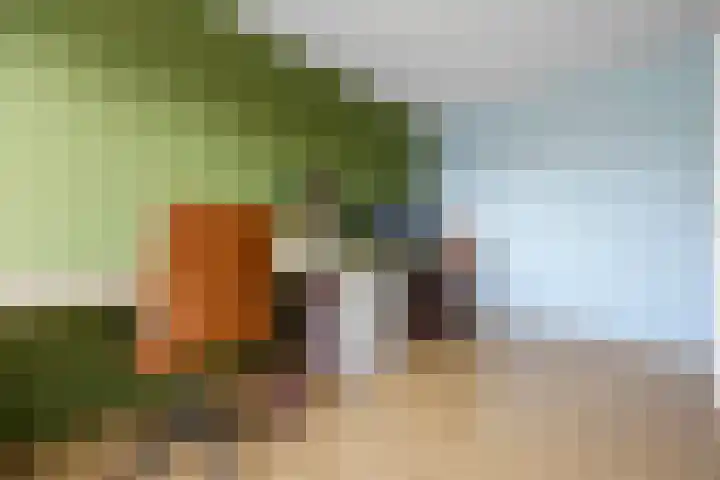 Gochsestraat 19 Huissen thumbnail 26