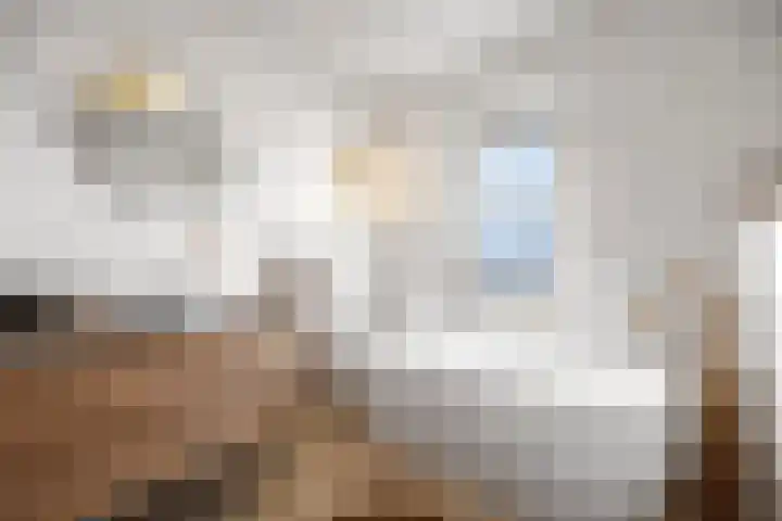 Gochsestraat 19 Huissen thumbnail 27