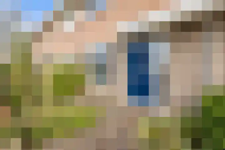 Gochsestraat 19 Huissen thumbnail 4