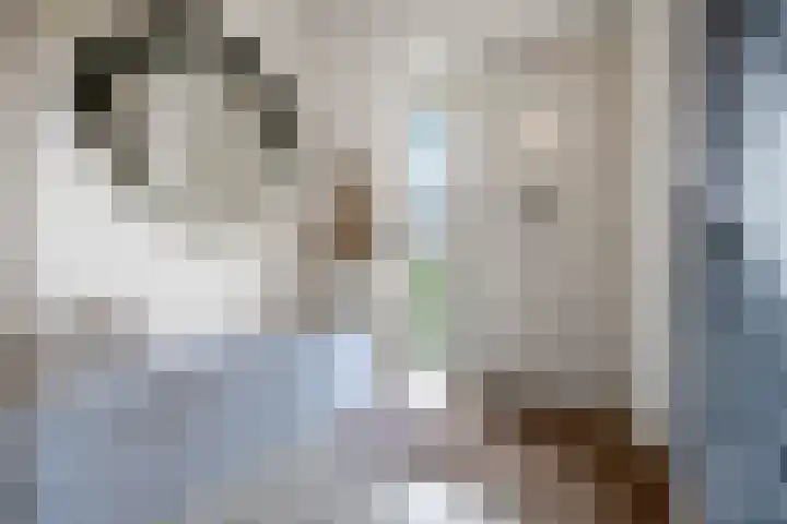 Gochsestraat 19 Huissen thumbnail 5