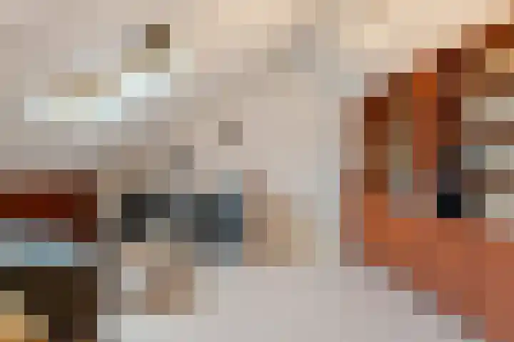Gochsestraat 31 Huissen thumbnail 29