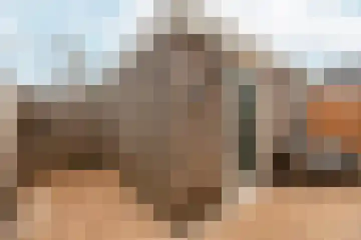Gochsestraat 31 Huissen thumbnail 32