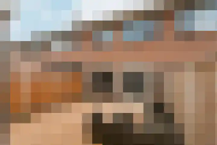 Gochsestraat 31 Huissen thumbnail 33