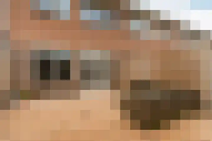 Gochsestraat 31 Huissen thumbnail 34