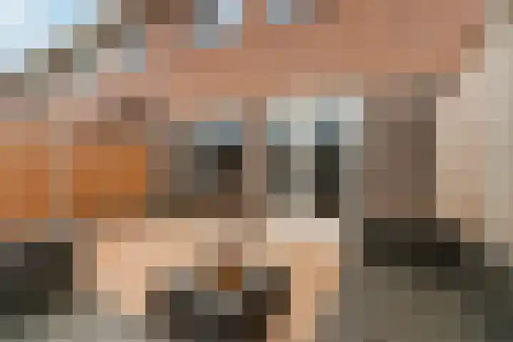 Gochsestraat 31 Huissen thumbnail 35