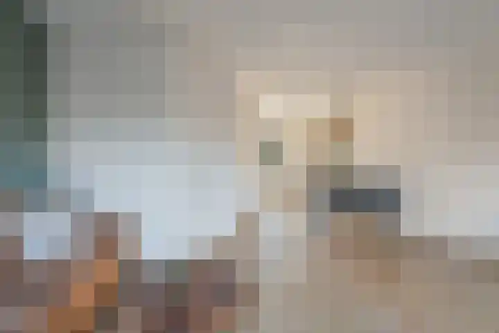Gochsestraat 31 Huissen thumbnail 7