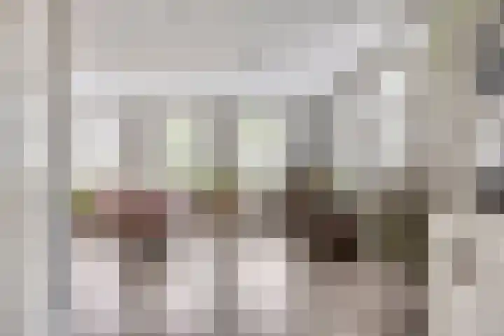 Gochsestraat 41 Huissen thumbnail 10