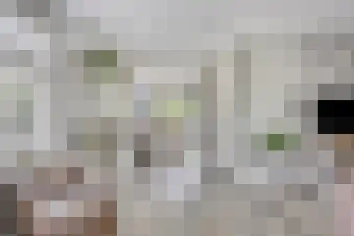 Gochsestraat 41 Huissen thumbnail 14