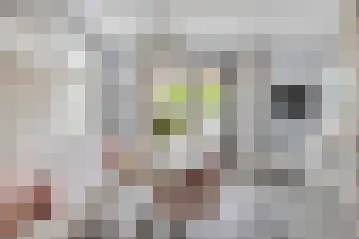 Gochsestraat 41 Huissen thumbnail 15