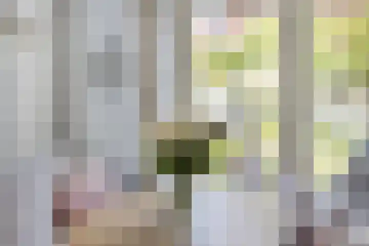 Gochsestraat 41 Huissen thumbnail 18