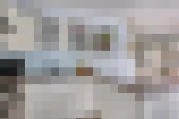 Gochsestraat 41 Huissen thumbnail 21