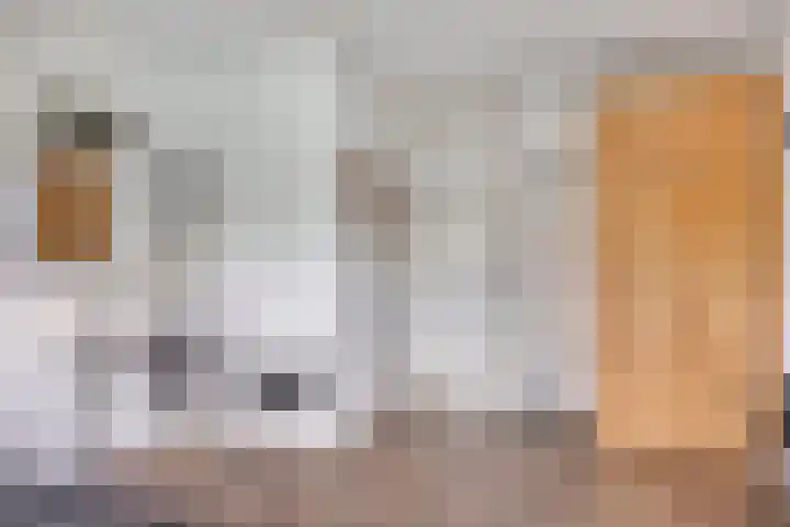 Gochsestraat 41 Huissen thumbnail 35