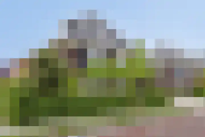 Gochsestraat 41 Huissen thumbnail 4