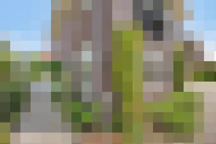 Gochsestraat 41 Huissen thumbnail 41