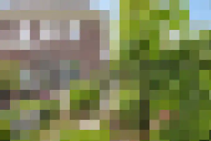 Gochsestraat 41 Huissen thumbnail 42